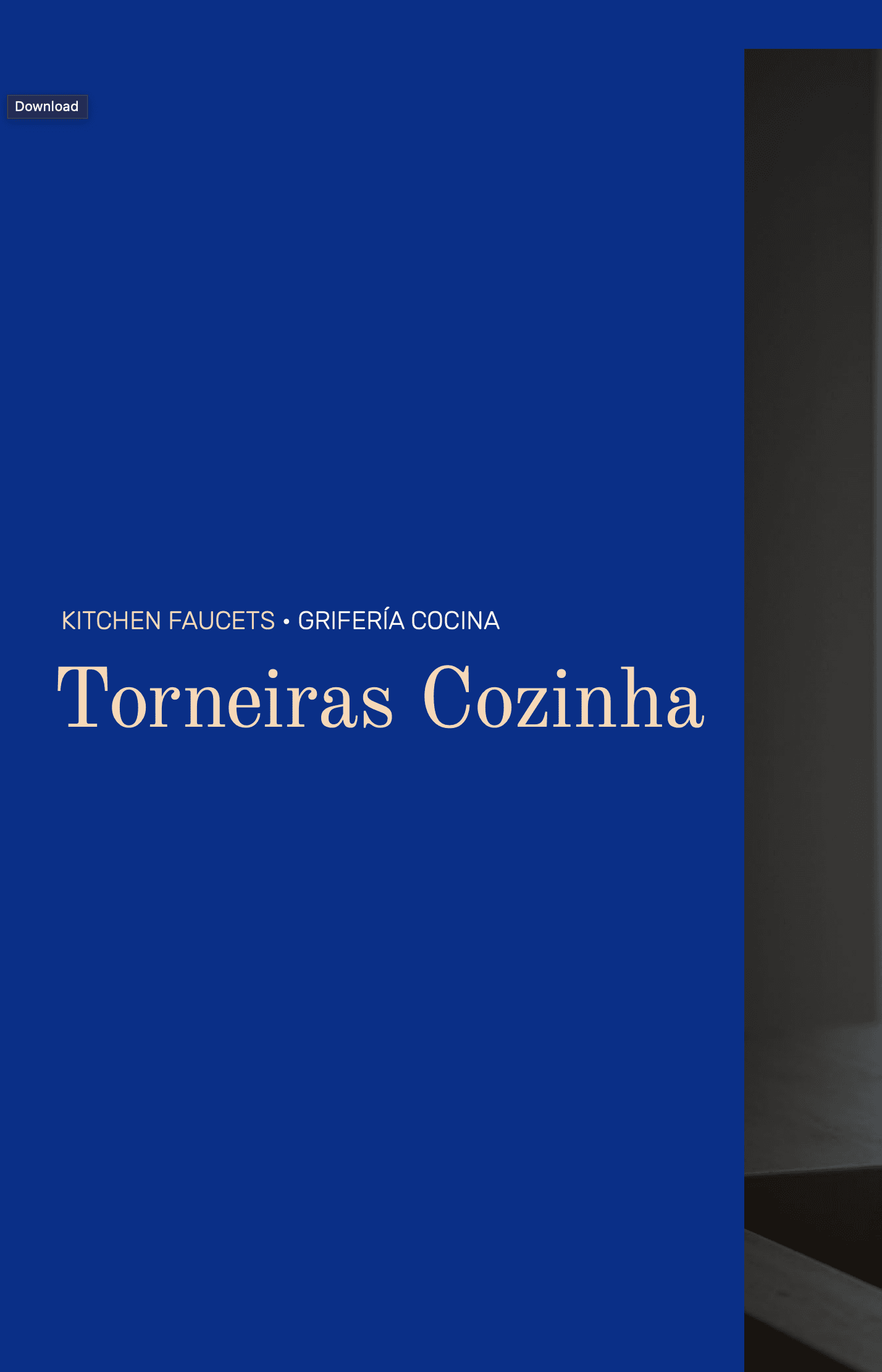 Torneiras de Cozinha